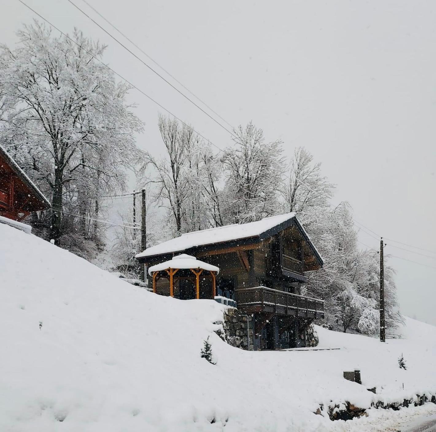 Chalet Du Bonheur Villa Bonnevaux  Eksteriør billede