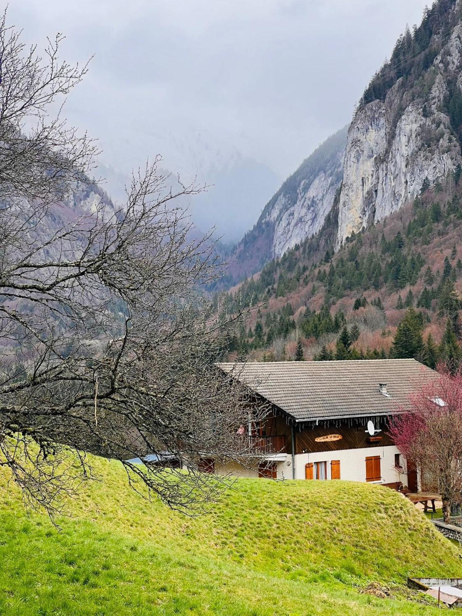 Chalet Du Bonheur Villa Bonnevaux  Eksteriør billede